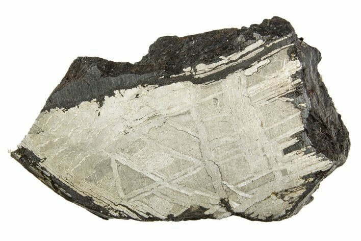 Etched Muonionalusta Meteorite Slice ( g) - Sweden #320316